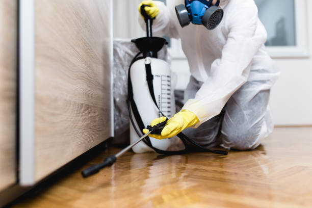 Best Emergency Pest Control  in Parsons, TN