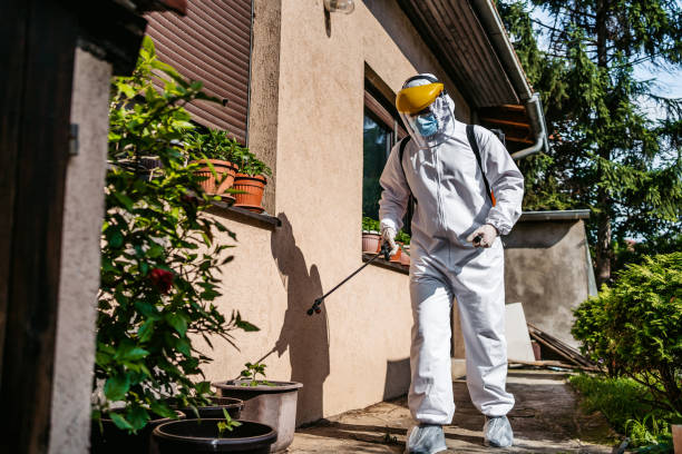 Best Local Pest Control Services  in Parsons, TN