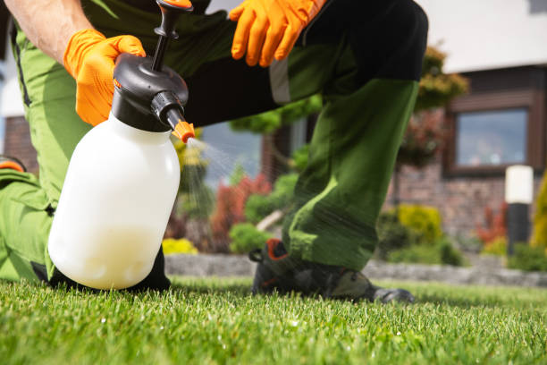 Best Bed Bug Extermination  in Parsons, TN
