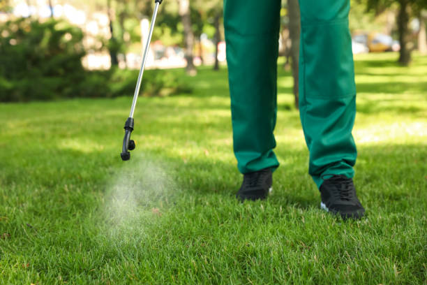 Best Best Pest Control Companies  in Parsons, TN