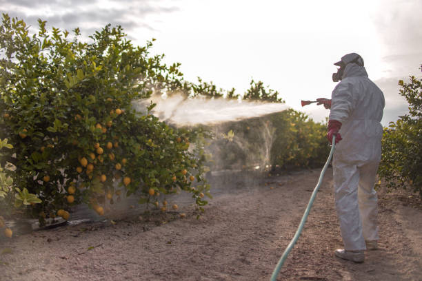 Best Wasp Removal Services  in Parsons, TN