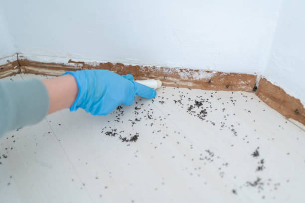 Best Pest Control Near Me in Parsons, TN