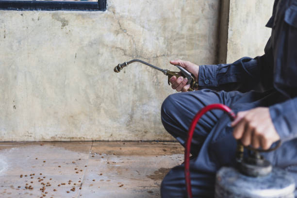 Best Best Pest Control Companies  in Parsons, TN