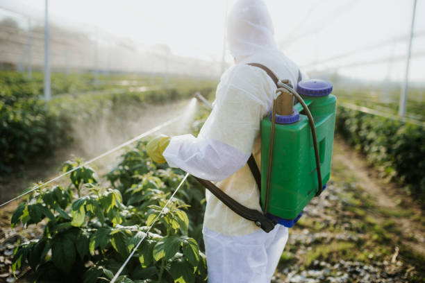 Best Residential Pest Control  in Parsons, TN